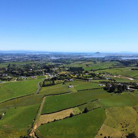 Homewell Tauranga Extérieur photo